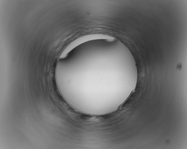 X0000113060566200909182004