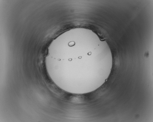 X0000113060567200909182004