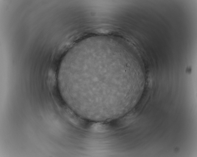 X0000113060568200909182004