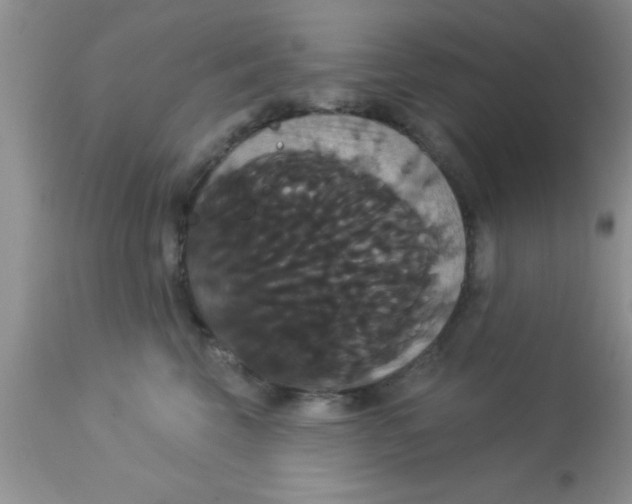 X0000113060569200909182004