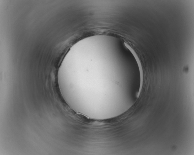 X0000113060570200909182004