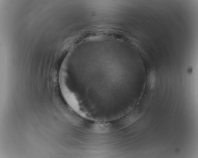 X0000113060571200909182004