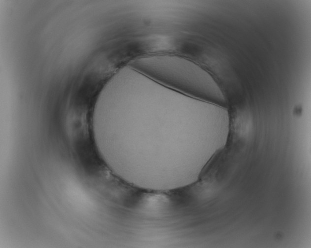 X0000113060572200909182004