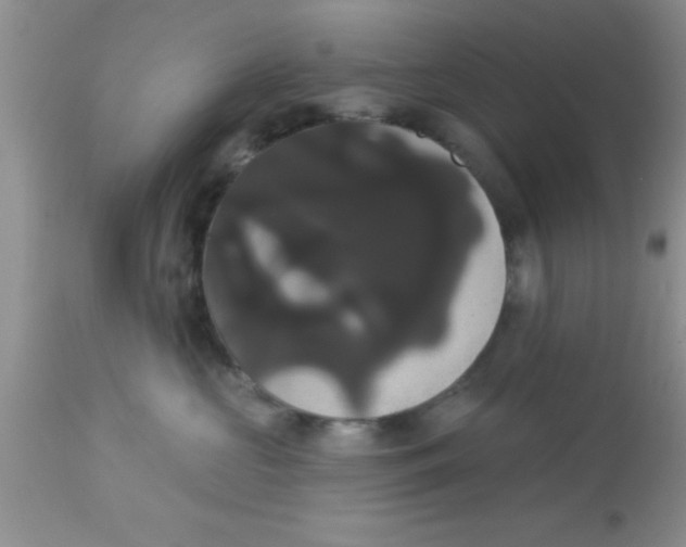 X0000113060573200909182004