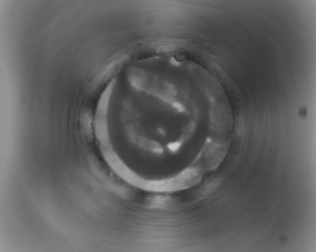 X0000113060575200909182004