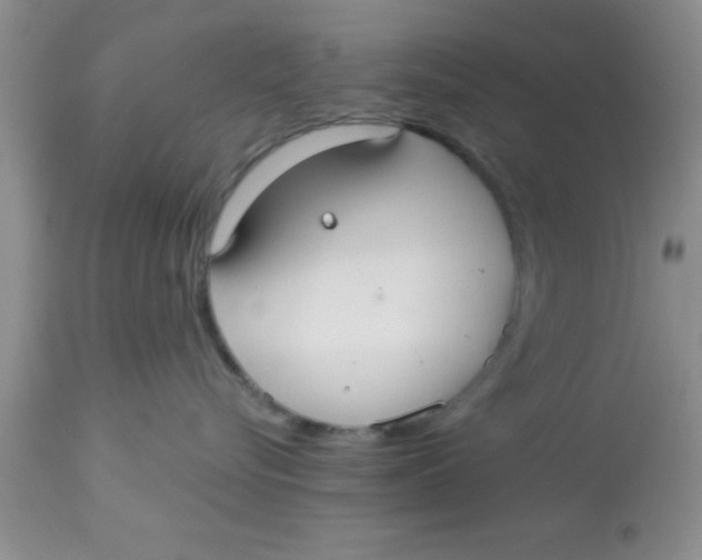 X0000113060576200909182004