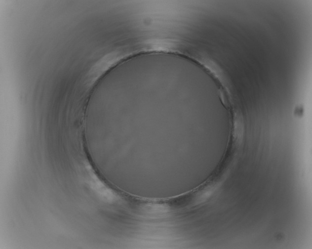 X0000113060577200909182003