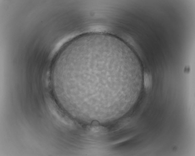 X0000113060579200909182003