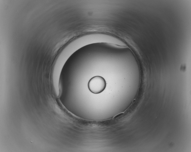 X0000113060585200909182003