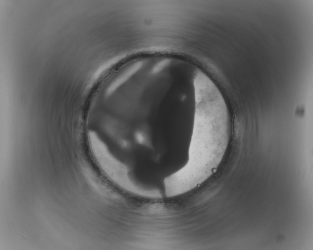 X0000113060588200909182003