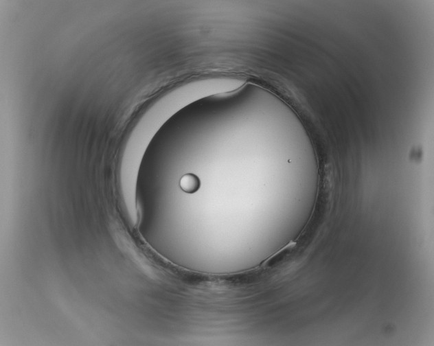 X0000113060589200909182003