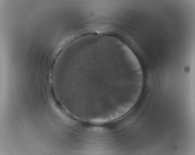 X0000113060590200909182003