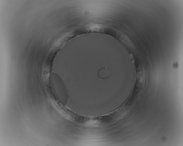 X0000113060593200909182003