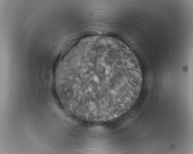 X0000113060594200909182003