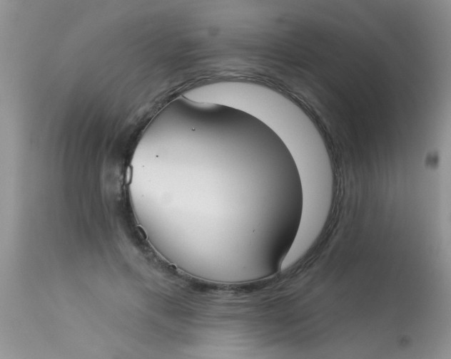 X0000113060597200909182003