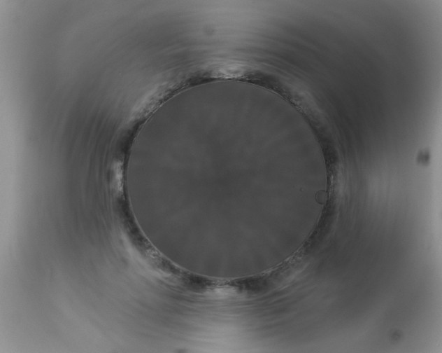 X0000113060598200909182003
