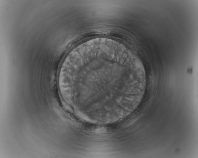 X0000113060600200909182003