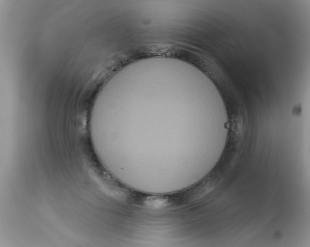 X0000113060602200909182003