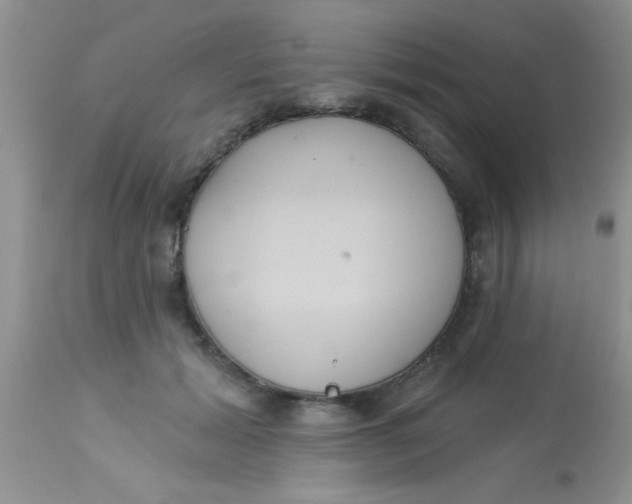 X0000113060605200909182003