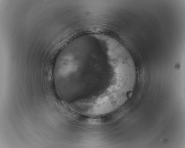 X0000113060606200909182003