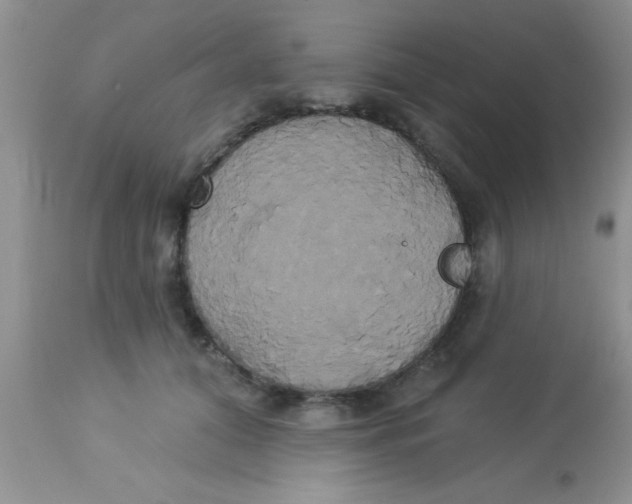 X0000113060608200909182003