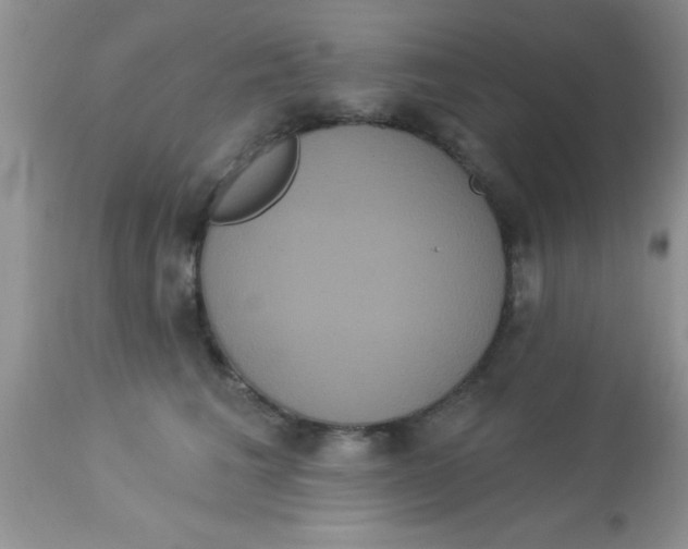 X0000113060613200909182003