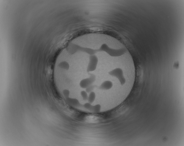 X0000113060614200909182003