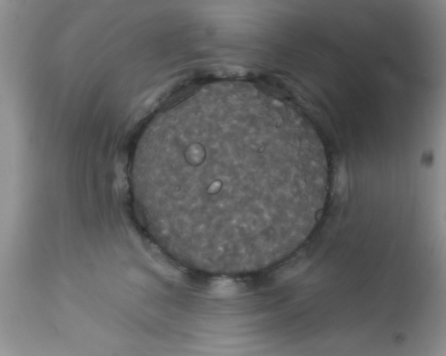 X0000113060616200909182003