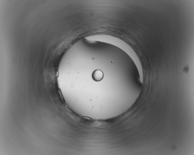 X0000113060617200909182003