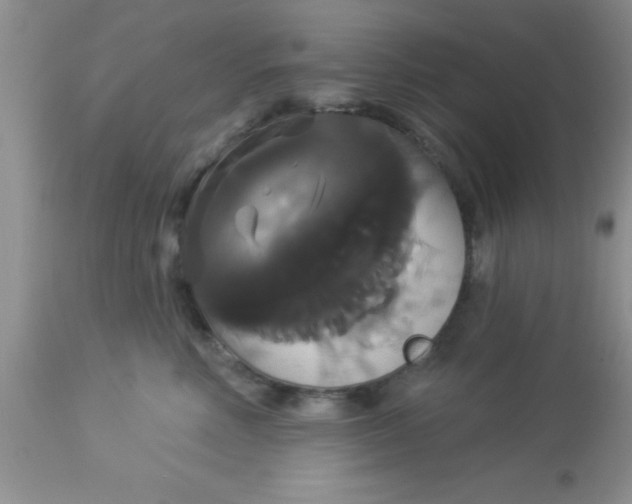 X0000113060618200909182003