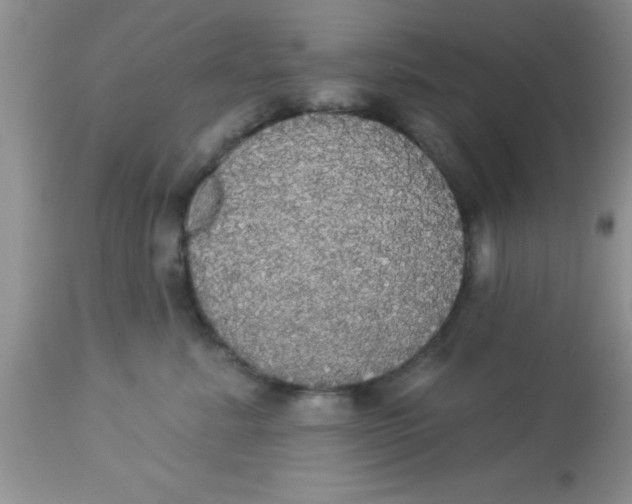 X0000113060619200909182003