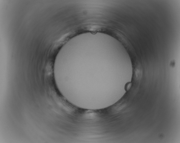 X0000113060620200909182003
