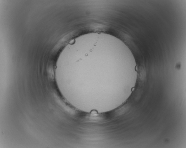 X0000113060622200909182002