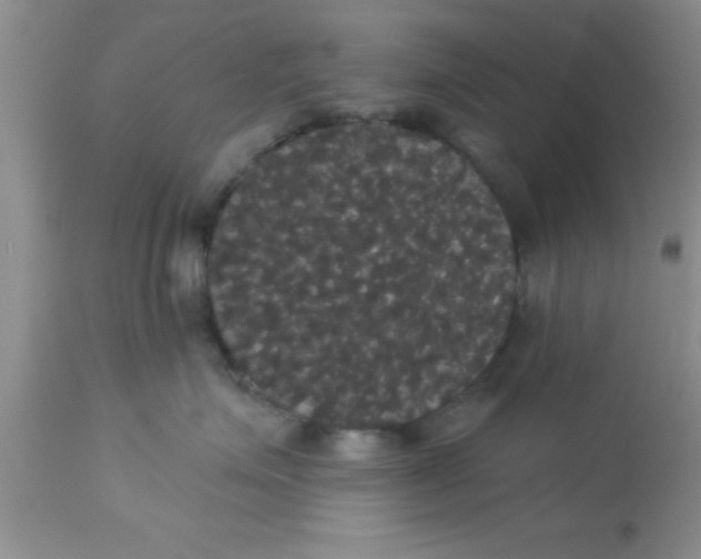 X0000113060623200909182002