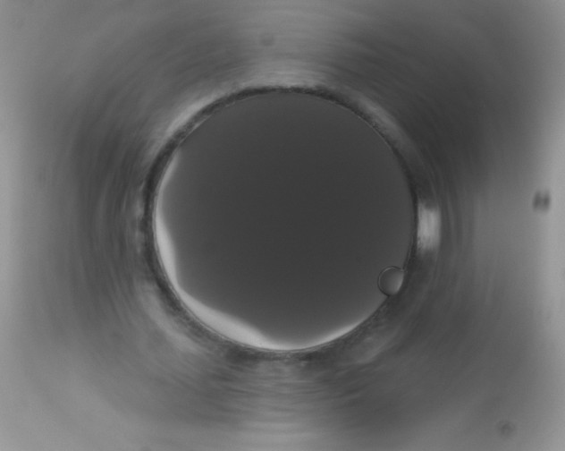 X0000113060627200909182002