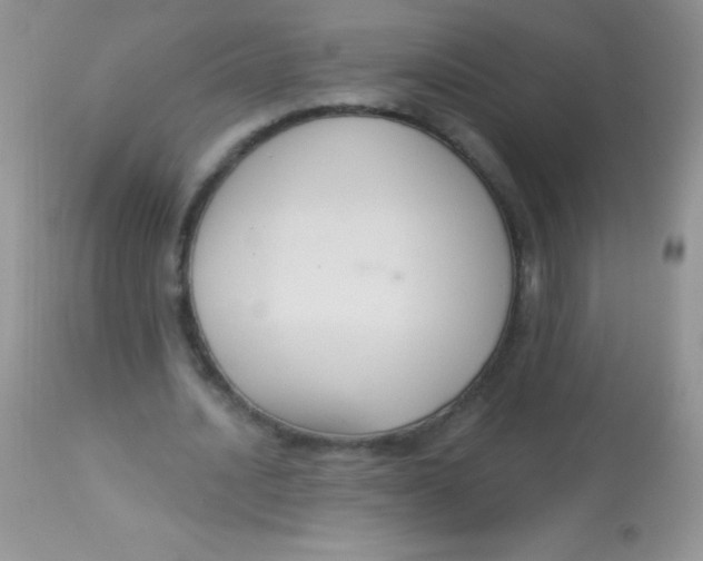 X0000113060628200909182002