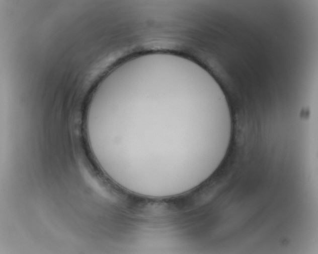 X0000113060631200909182002