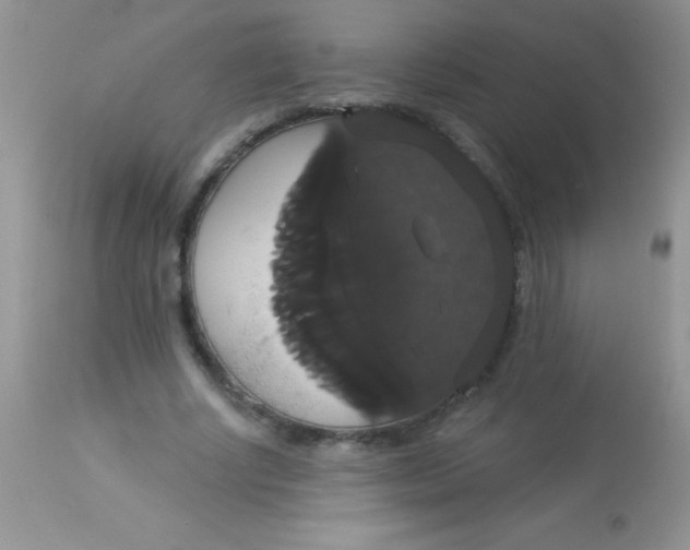 X0000113060634200909182002