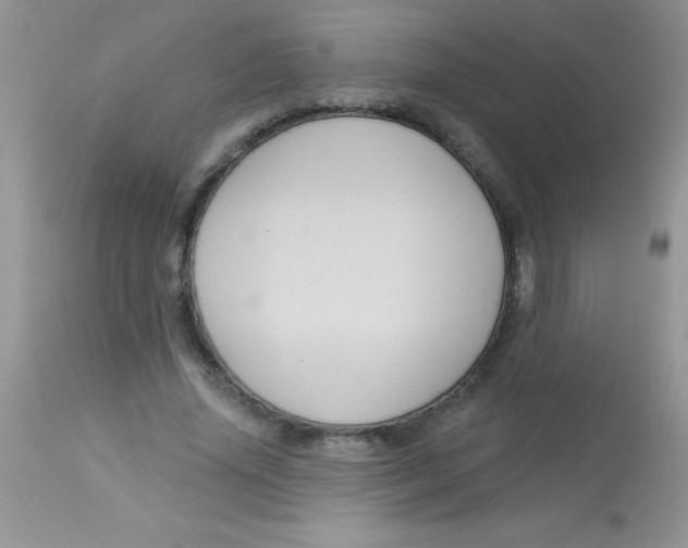 X0000113060636200909182002