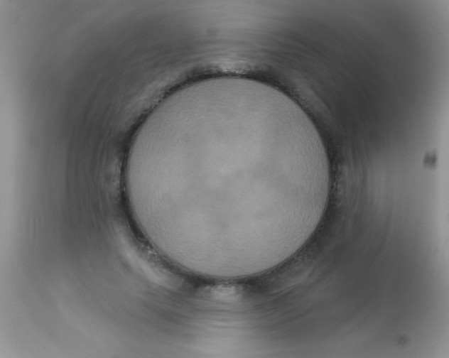 X0000113060639200909182002