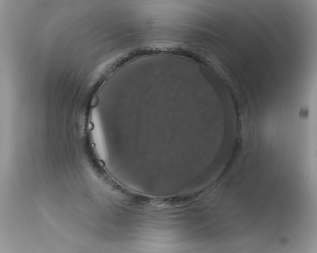 X0000113060640200909182002