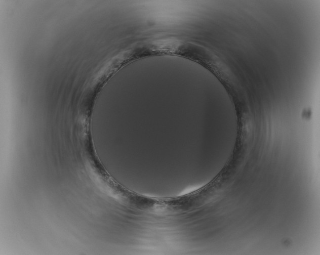 X0000113060641200909182002