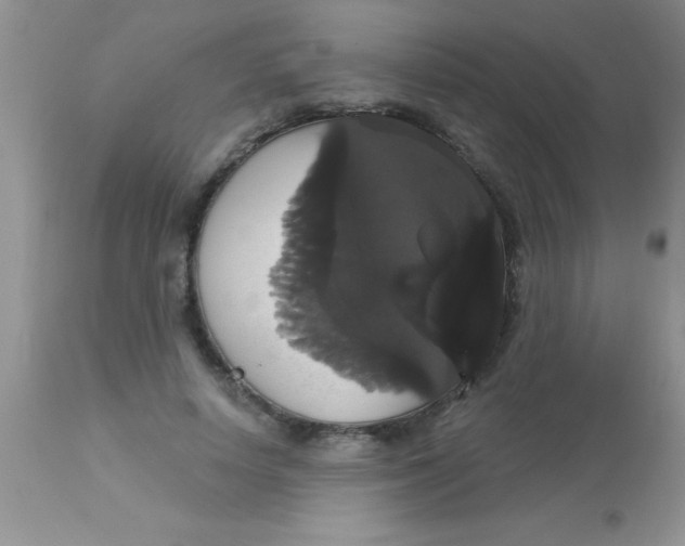 X0000113060642200909182002