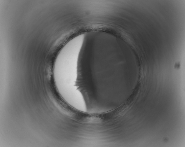 X0000113060644200909182002