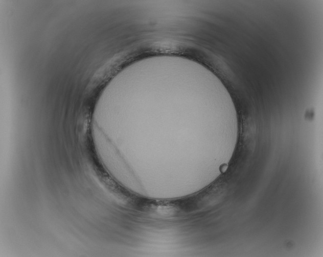 X0000113060645200909182002