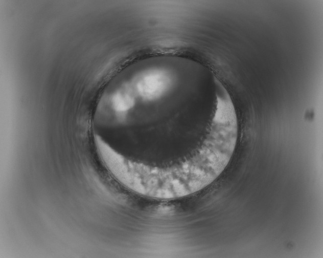 X0000113060647200909182002