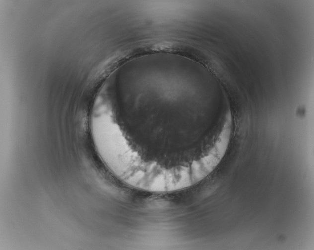 X0000113060648200909182002