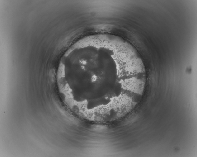 X0000113060649200909182002