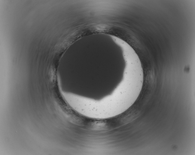 X0000113060651200909182002