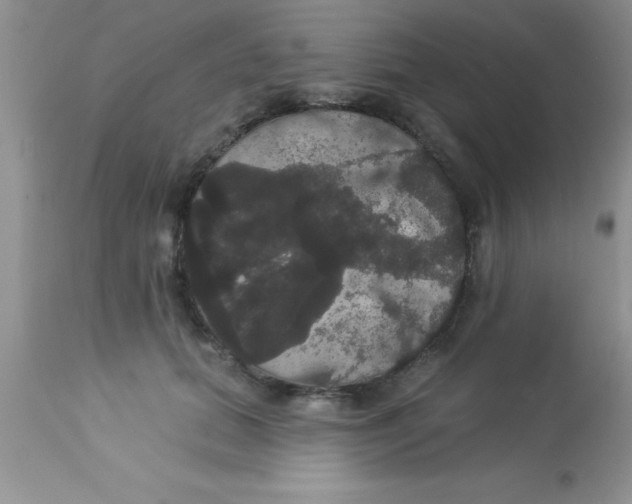 X0000113060655200909182002